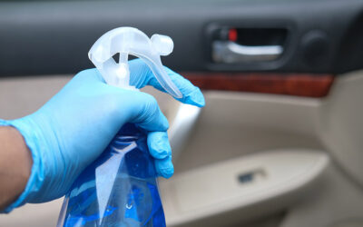 Los productos de limpieza profesional del automóvil