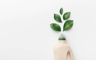 ECOLABEL: Productos de limpieza biodegradables y ecológicos certificados