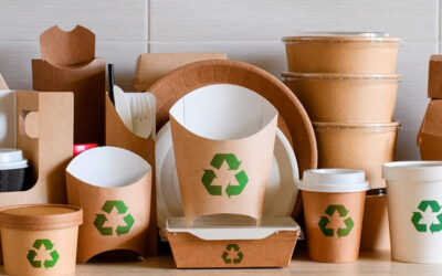 Productos desechables ecológicos y biodegradables: la opción más sostenible
