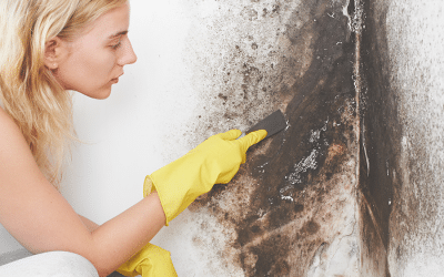 ¿Cómo quitar el moho de la pared?