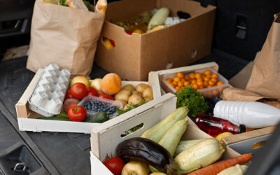 Regulaciones y normativas en el almacenamiento y transporte de alimentos