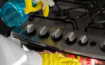 Guía de Buenas Prácticas para Reducir el Uso de Productos Químicos en la Limpieza de Restaurantes