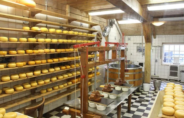 Limpieza en la industria alimentaria