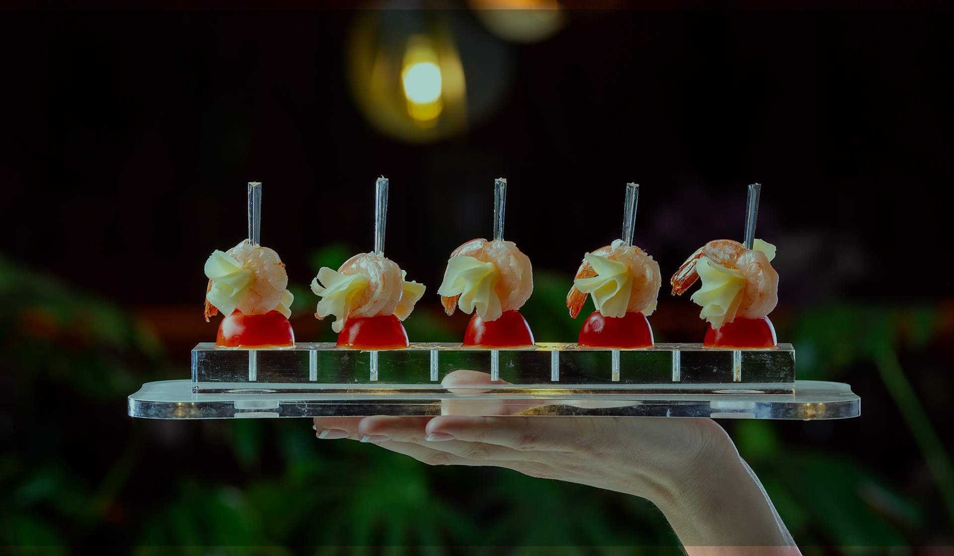 Menaje para catering