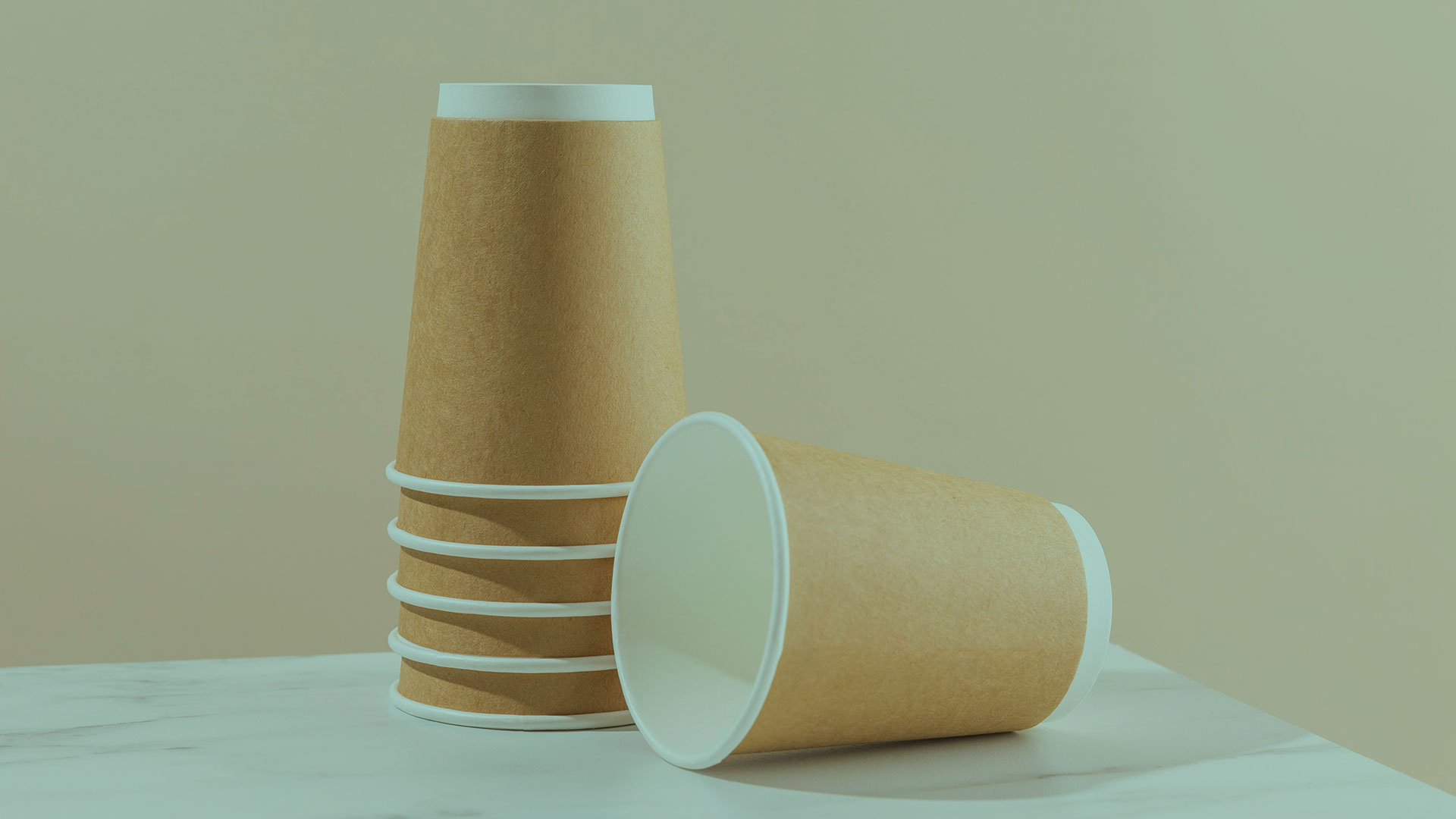 Vasos biodegradables